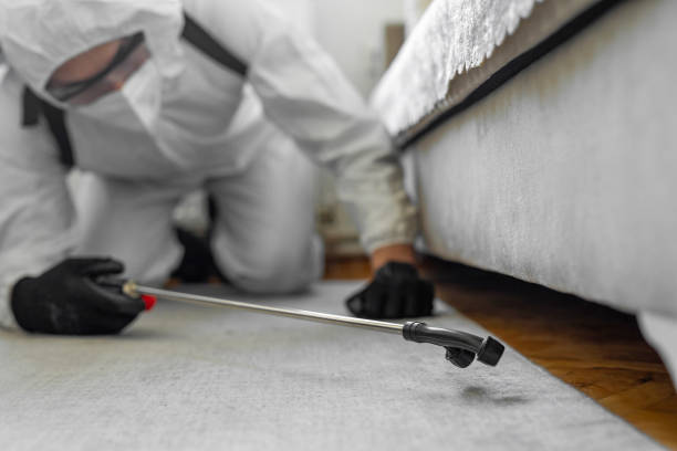 Professional Bed Bug Control technician working in Fairview, MT