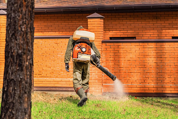 Trusted Mosquito Control service in Fairview, MT - Nex Pest Control